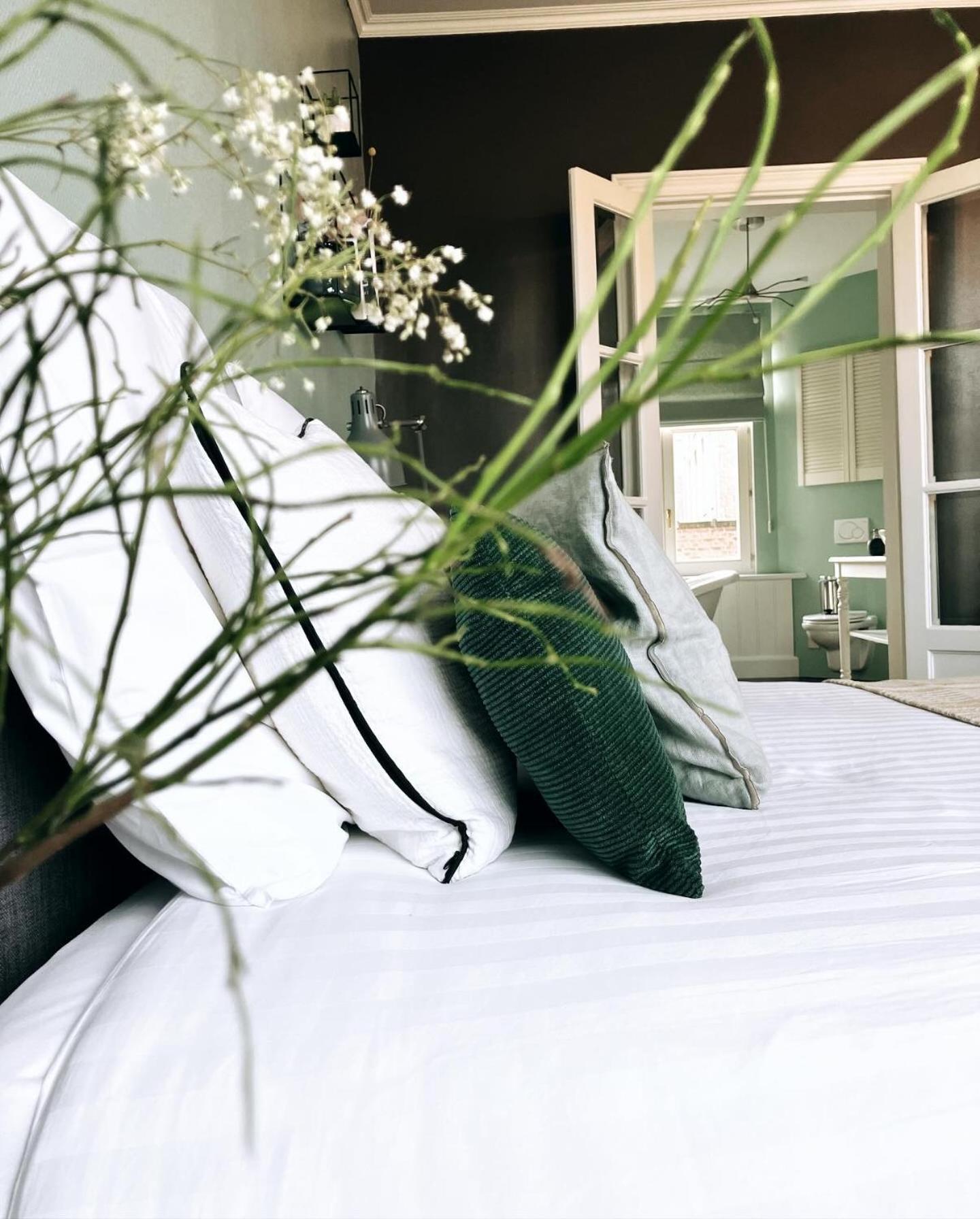 デンデルモンデ Domus Portus Bed & Breakfast エクステリア 写真