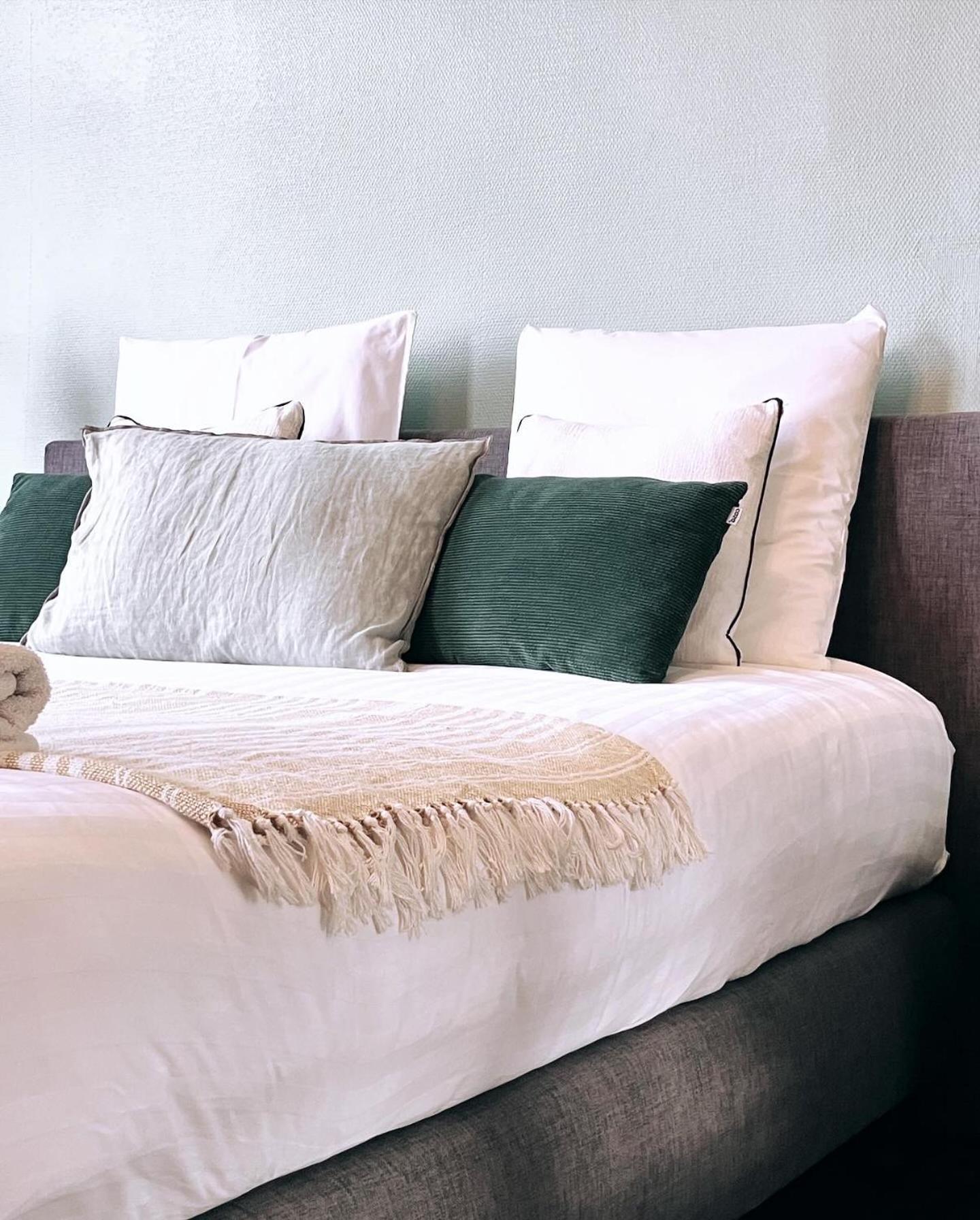 デンデルモンデ Domus Portus Bed & Breakfast エクステリア 写真