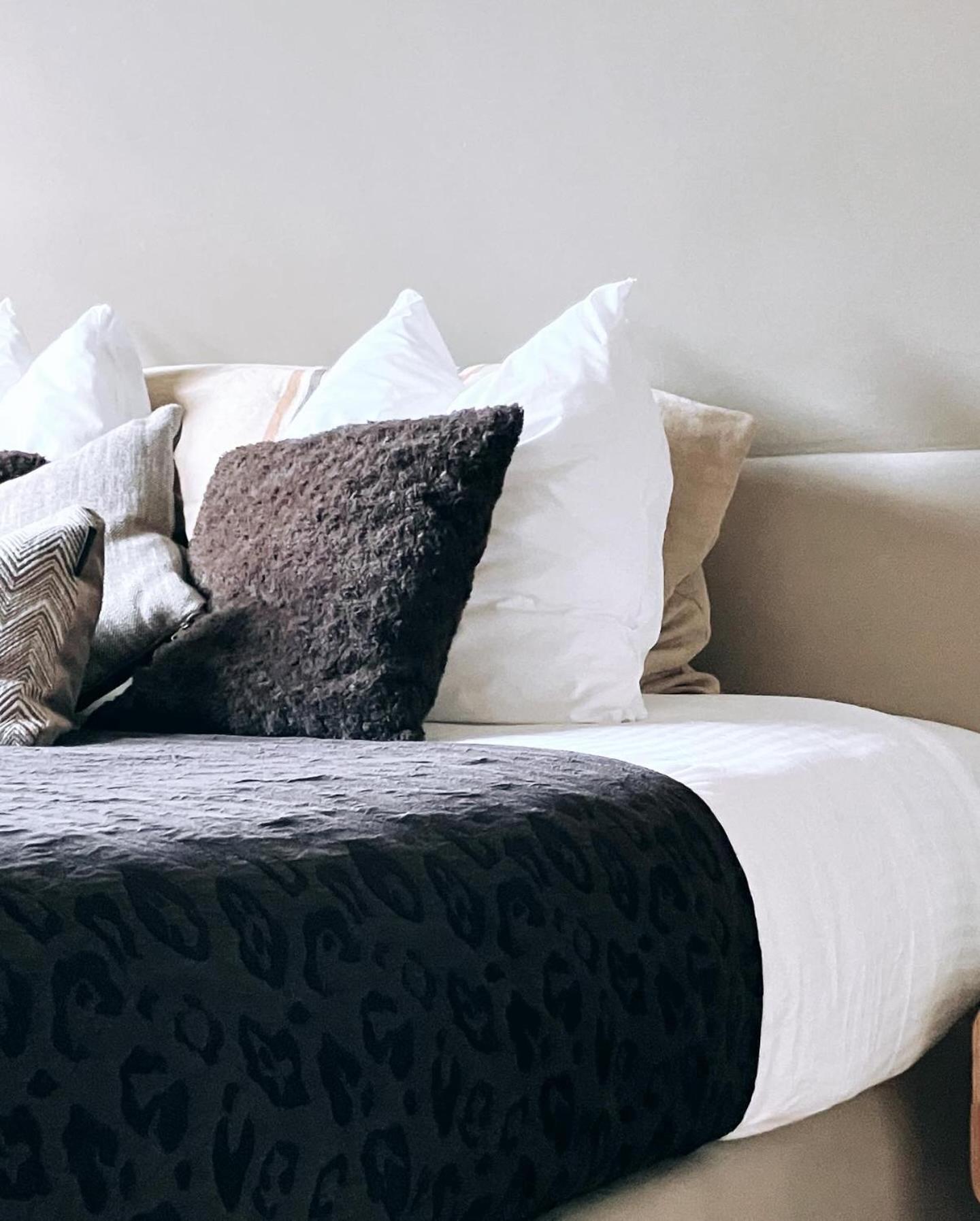 デンデルモンデ Domus Portus Bed & Breakfast エクステリア 写真