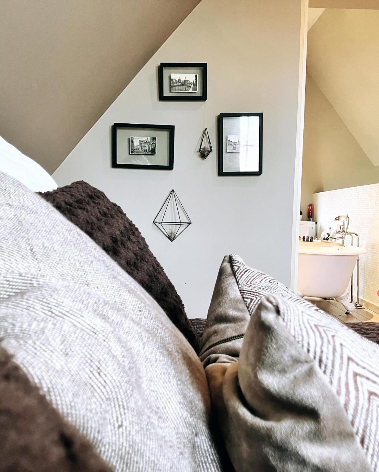 デンデルモンデ Domus Portus Bed & Breakfast エクステリア 写真